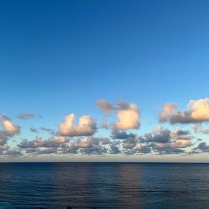 Meet your Posher, Dilara